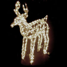Christmas 3D Deer Display