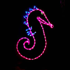 Seahorse Tropical Christmas Display