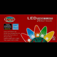 Set of 25 LED C9 Light String