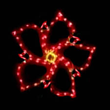 Outdoor Lighted Poinsettia