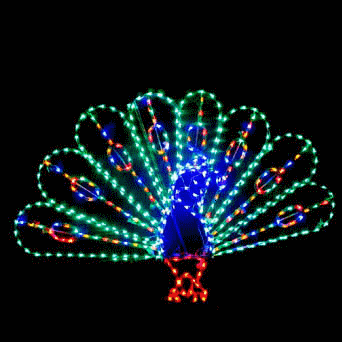 LED Lighted Peacock Display