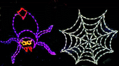 Scary Black Widow and Web